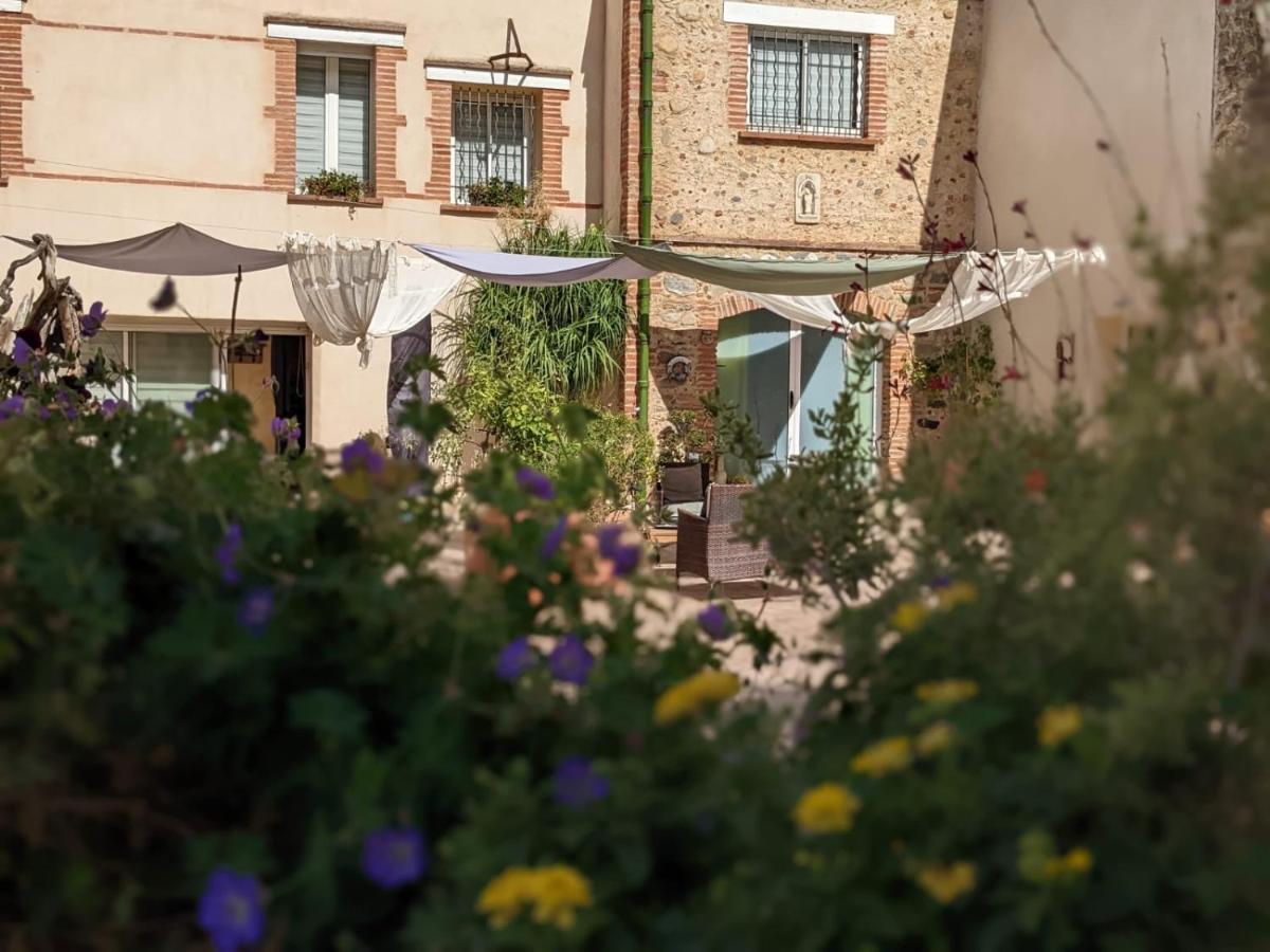 "Mas Tramontane "Chambres D'Hotes Et Studio Avec Piscine Dans Parc Arbore Ille-sur-Têt Kültér fotó