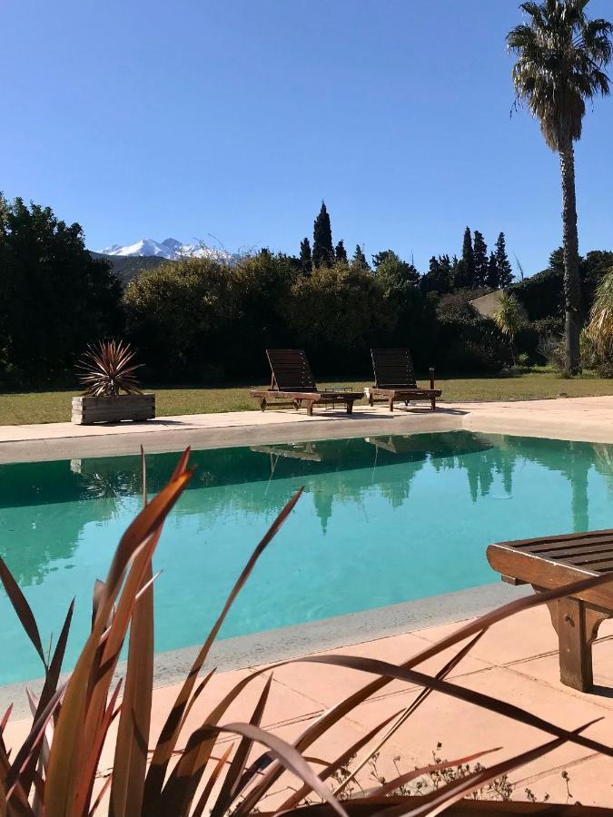 "Mas Tramontane "Chambres D'Hotes Et Studio Avec Piscine Dans Parc Arbore Ille-sur-Têt Kültér fotó